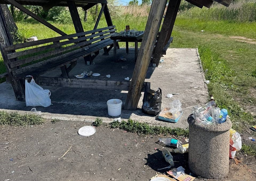 Горожан возмутила оставленная отдыхающими в парке свалка