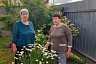 Саратовцы отметили День соседей играми и чаепитием из самовара